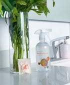 Sustainable Single Bathroom Cleaner - Be.blum